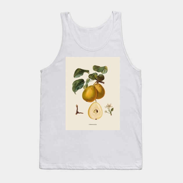 Pear Antique Botanical Illustration Tank Top by Antiquated Art